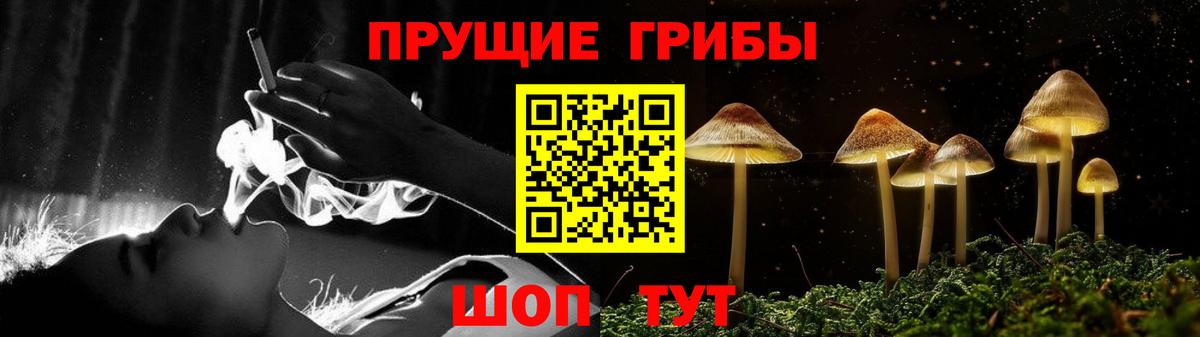 Псилоцибиновые грибы прущие грибы  Галлюциногенные грибы мицелий  Вход с VPN  Большой Камень 